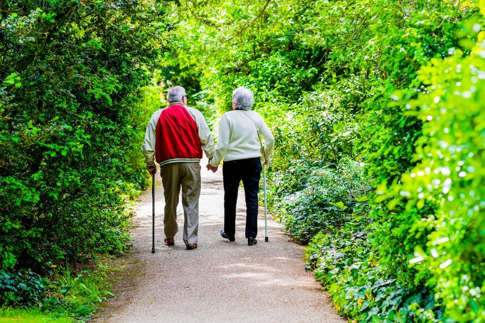 A good credit report could ensure comfort in retirement.