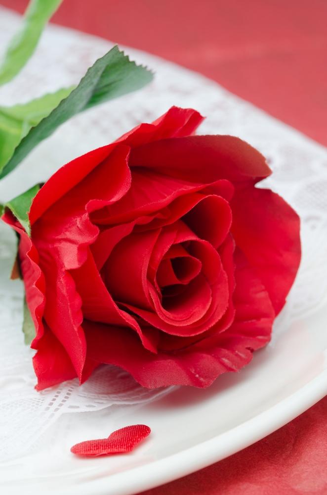 Have a beautiful Valentine's Day without breaking the bank.